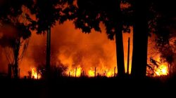 estado-de-sp-tem-8-cidades-com-focos-ativos-de-incendio-nesta-quarta