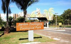 zoologico-de-brasilia:-um-refugio-de-biodiversidade-e-conhecimento-no-coracao-do-cerrado