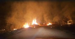 video:-incendio-destroi-area-equivalente-a-42-mil-campos-de-futebol-proxima-a-estacao-de-tratamento-de-agua-do-dmae,-em-uberlandia