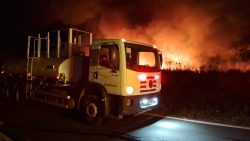 incendio-de-grandes-proporcoes-atinge-mata-do-furquim-em-presidente-prudente;-fogo-continua