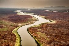 pantanal:-focos-de-incendios-nos-primeiros-10-dias-de-setembro-ja-sao-o-dobro-de-todo-o-mes-em-2023