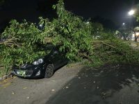 parte-de-arvore-cai-e-danifica-carro-na-zona-sul-de-sao-jose-dos-campos,-sp