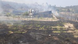 fotos:-imagens-mostram-destruicao-causada-por-incendio-no-pico-das-cabras,-em-campinas