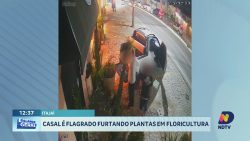 casal-e-flagrado-furtando-plantas-de-floricultura-em-itajai