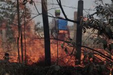 pf-e-agu-buscam-acordo-de-reparacao-financeira-em-casos-de-incendio-ambiental