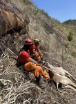 bezerra-e-icada-pelos-bombeiros-apos-cair-de-pedreira-de-70-metros;-video