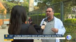 videos:-bom-dia-sp-de-quarta-feira,-11-de-setembro-de-2024