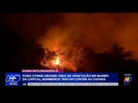 fogo-atinge-grande-area-de-vegetacao-em-florianopolis;-bombeiros-lutam-contra-as-chamas