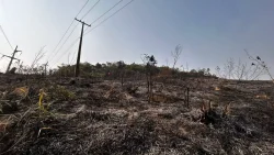 video:-imagens-aereas-mostram-dimensao-de-incendio-que-atingiu-vegetacao-em-florianopolis