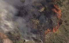 incendio-em-area-de-mata-faz-escolas-serem-evacuadas-na-grande-sp