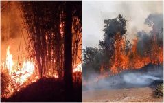 incendios-atingem-zona-rural-de-pocos-de-caldas-e-serra-das-aguas,-em-lambari,-mg