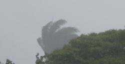 uberlandia-tera-plano-para-atenuar-efeitos-e-adaptar-a-cidade-as-mudancas climaticas