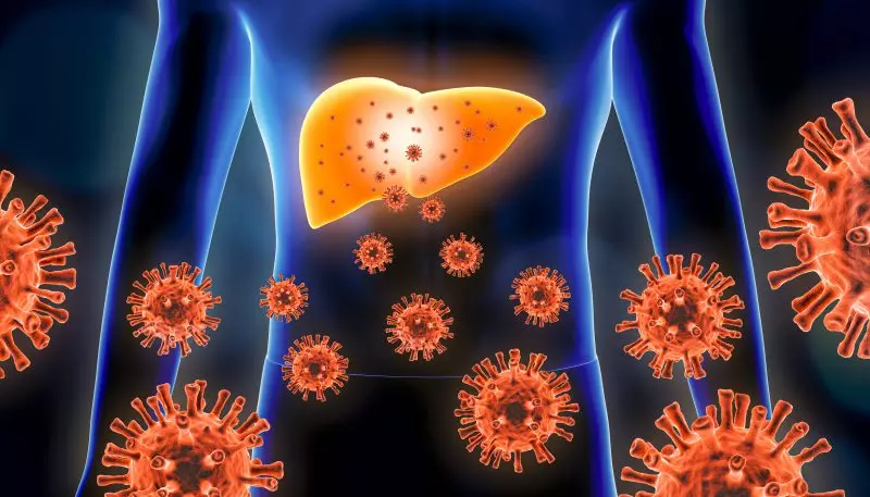 Imagem ilustrativa de Hepatite C atacando o fígado