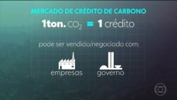 camara-aprova-projeto-que-estabelece-mercado-regulado-de-carbono-no-brasil;-texto-vai-a-sancao