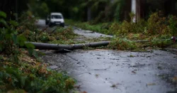 ventania-intensa-derruba-arvores-no-litoral-de-sc-e-defesa-civil-alerta-para-risco-de-ressaca