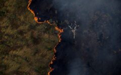 incendios-na-amazonia-destruiram-10-vezes-mais-que-o-desmatamento-em-2024