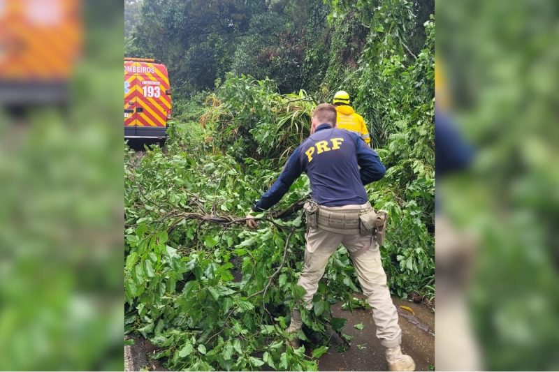 Equipes trabalham para a desobstrução da BR-282