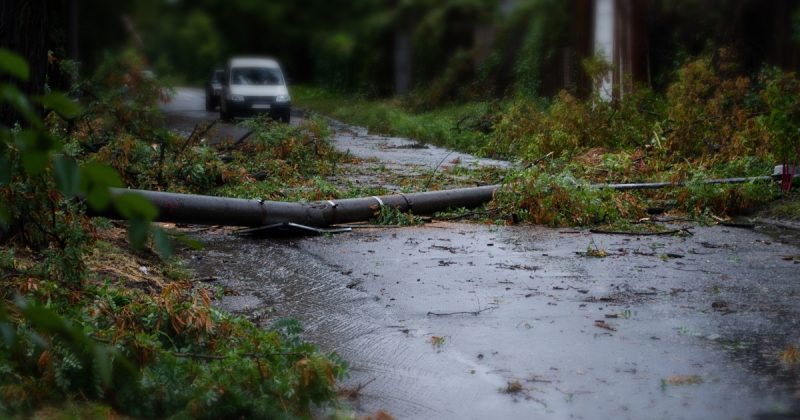 Carro passando por rua com árvore destruída