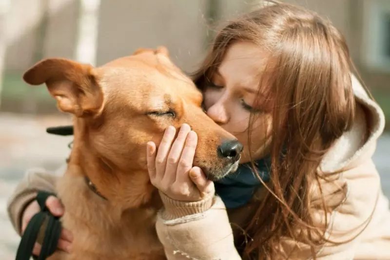 saiba como superar a perda de um cachorro 